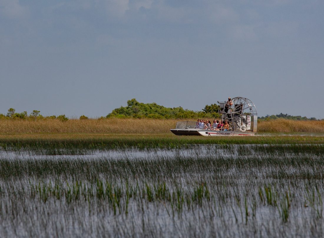 Everglades